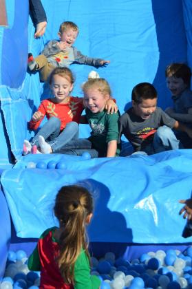 Article Image Alt Text