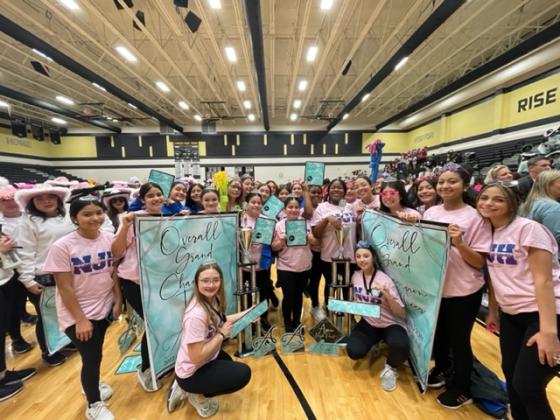 Article Image Alt Text