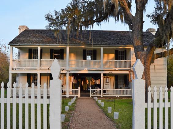 Article Image Alt Text