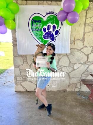 Article Image Alt Text