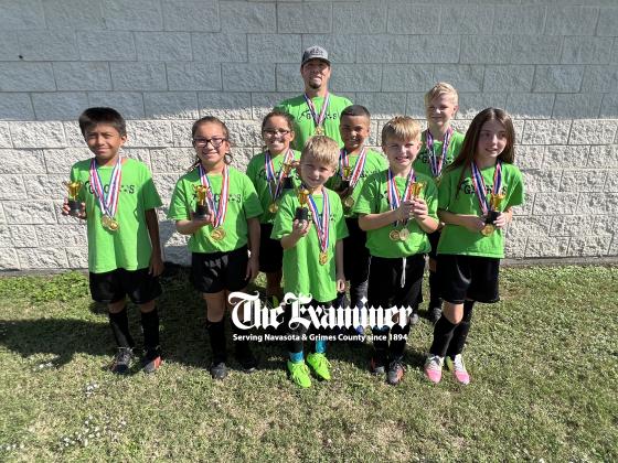 Article Image Alt Text