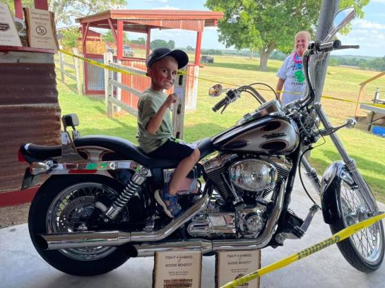 Article Image Alt Text