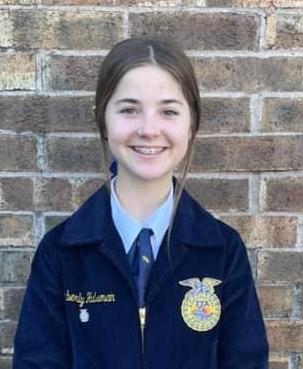 Article Image Alt Text