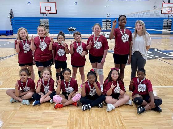 Article Image Alt Text