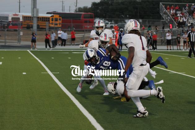 Article Image Alt Text