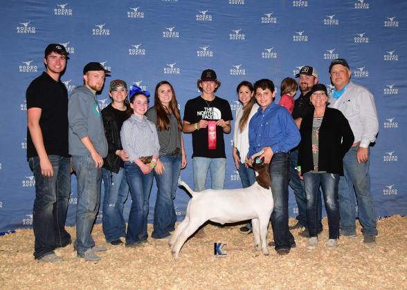 Article Image Alt Text