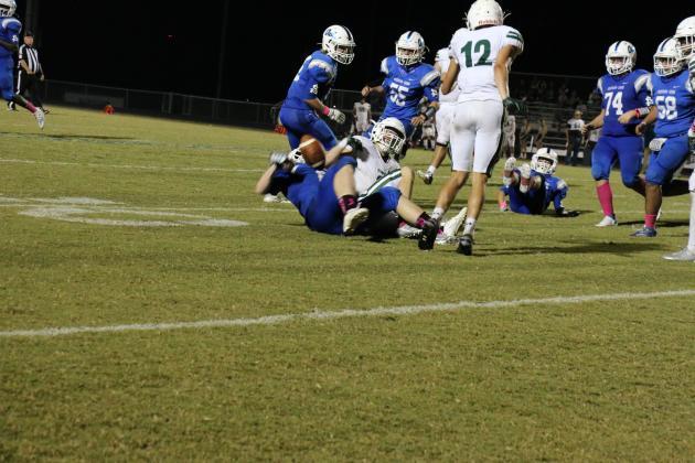 Article Image Alt Text