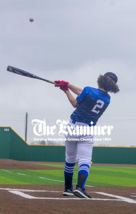 Article Image Alt Text