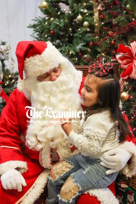 Article Image Alt Text