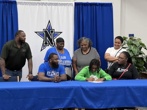 Article Image Alt Text