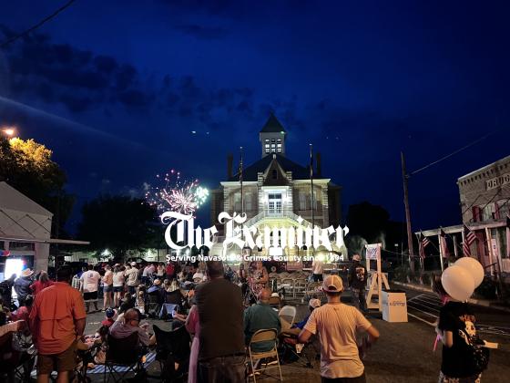 Article Image Alt Text