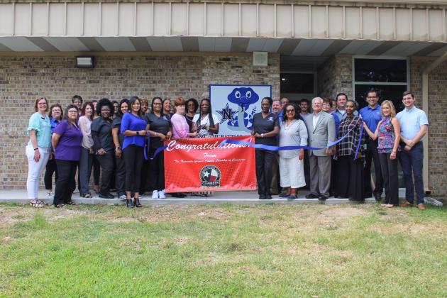 Article Image Alt Text