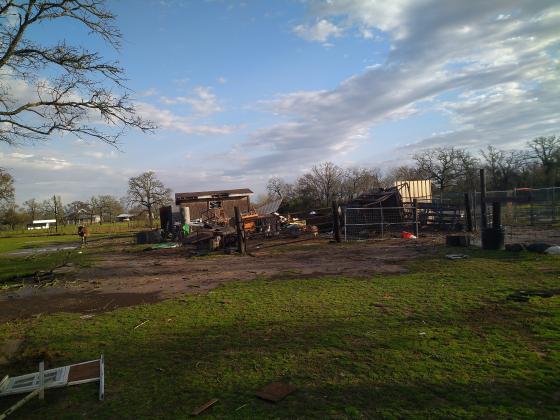 Article Image Alt Text