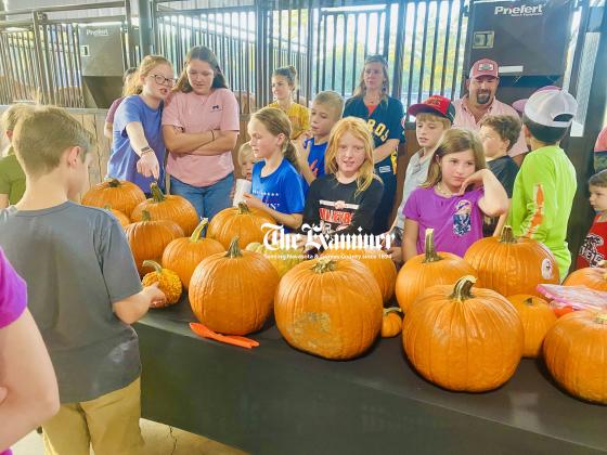 Article Image Alt Text