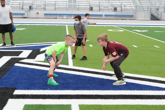 Article Image Alt Text