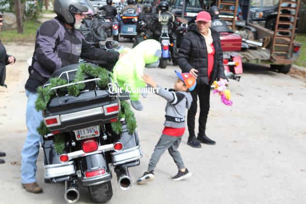 Article Image Alt Text