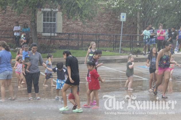 Article Image Alt Text