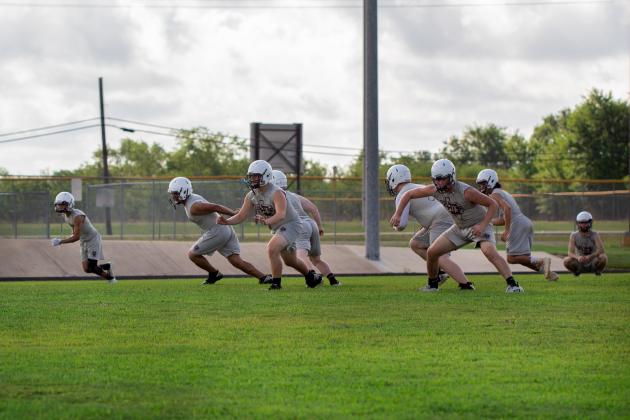 Examiner photos by Erica Grifaldo Article Image Alt Text