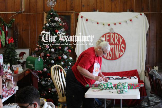 Article Image Alt Text