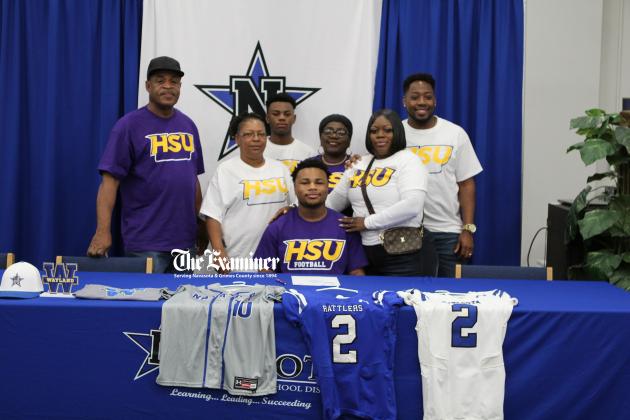 Article Image Alt Text