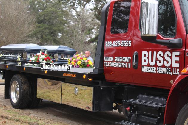 Article Image Alt Text