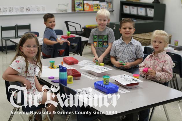 Article Image Alt Text