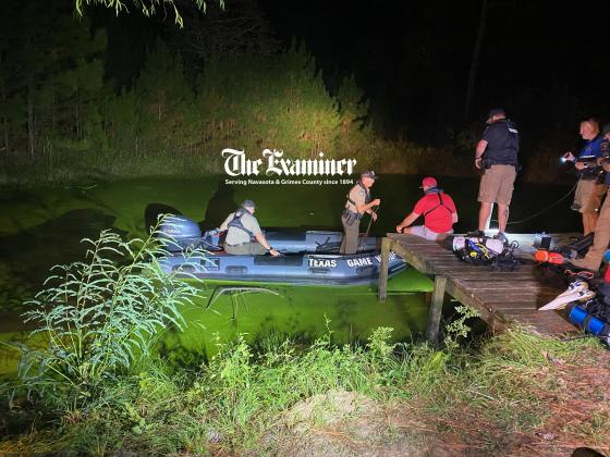 Article Image Alt Text