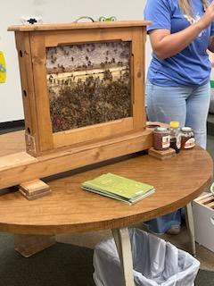 Article Image Alt Text