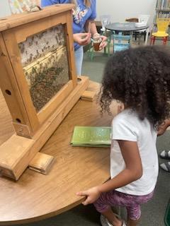 Article Image Alt Text