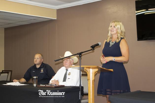 Article Image Alt Text