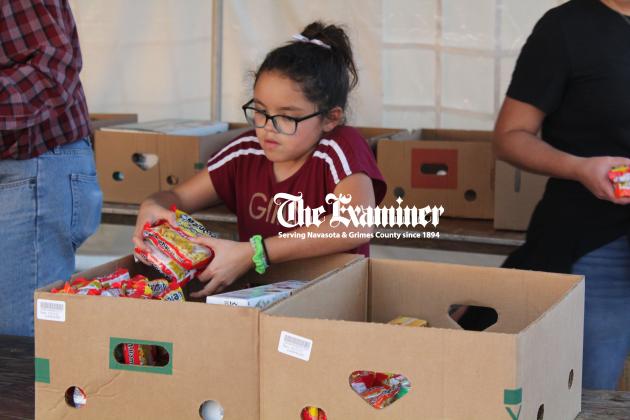 Article Image Alt Text