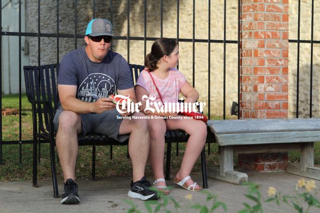 Article Image Alt Text