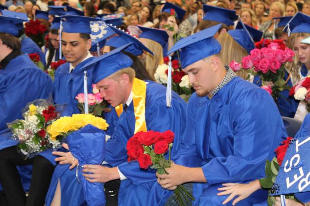 Article Image Alt Text