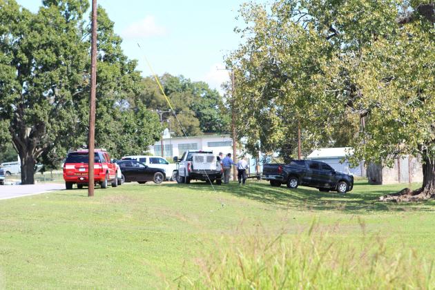 Article Image Alt Text