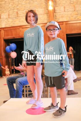 Article Image Alt Text