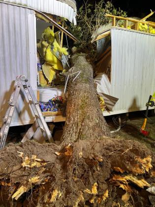 Article Image Alt Text