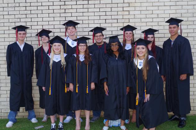 Article Image Alt Text