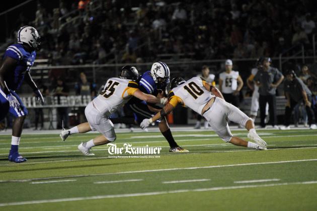 Article Image Alt Text