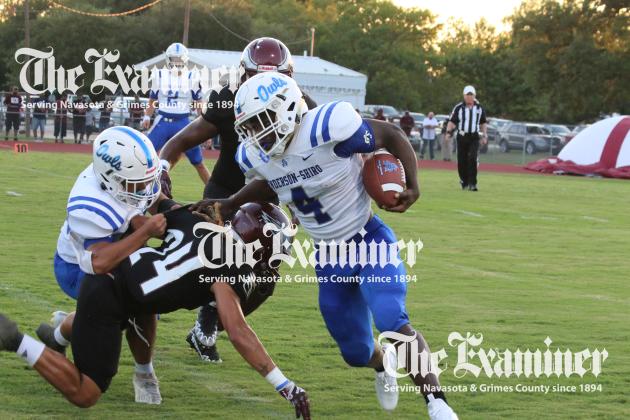 Article Image Alt Text