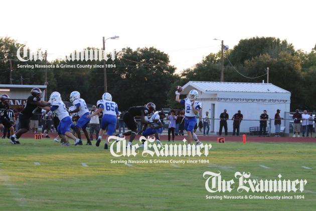 Article Image Alt Text