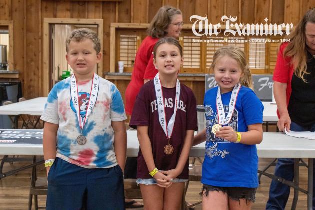 Article Image Alt Text