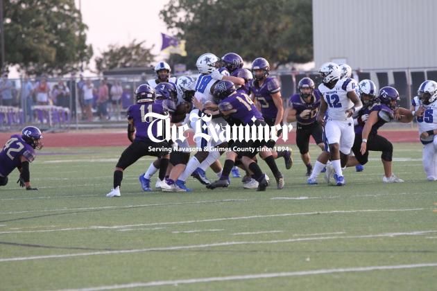 Article Image Alt Text