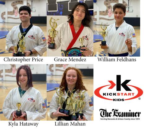 Article Image Alt Text