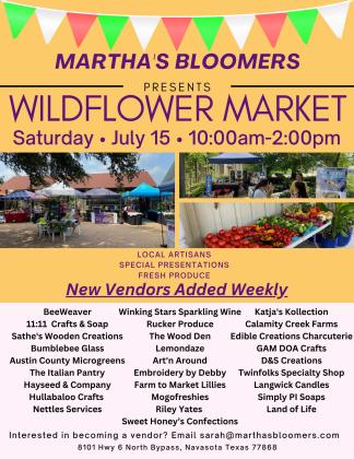 Article Image Alt Text