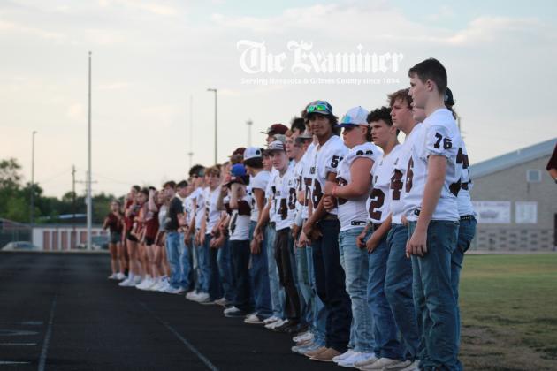 Article Image Alt Text