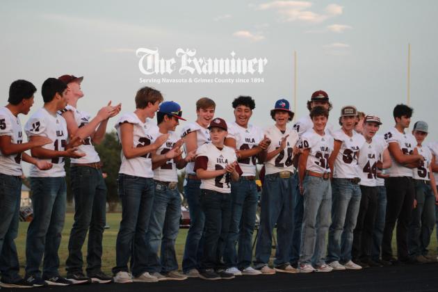 Article Image Alt Text