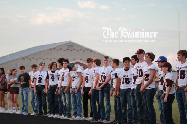 Article Image Alt Text