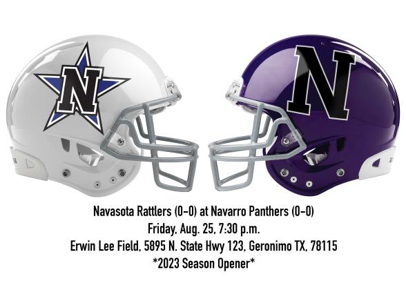 Article Image Alt Text