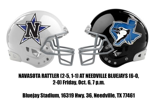 Article Image Alt Text