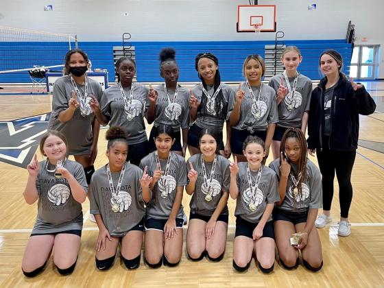 Article Image Alt Text